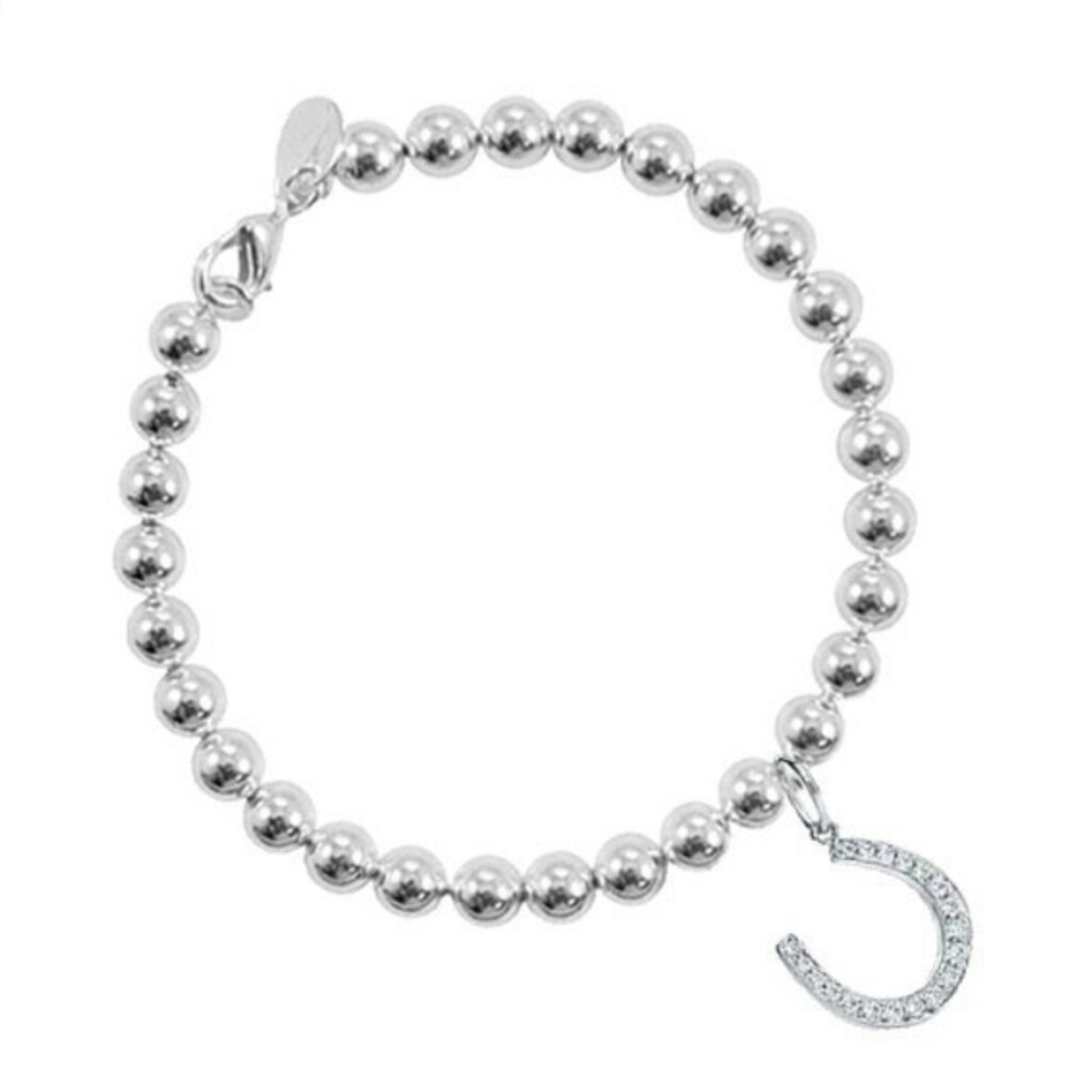Navika horseshoe charm link bracelet